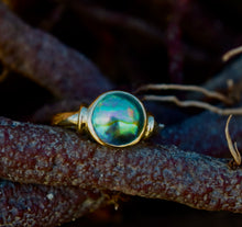 Load image into Gallery viewer, This New Zealand Eyris Blue Pearl ring is set in 9ct yellow gold and features a 10mm bezel set New Zealand paua mabe pearl, blue green in color.
Order to your size and choice of silver or gold
There is a range of unset Abalone pearls in stock that could be Made to Order - feel free to enquire about these as Sirene Sea Pearls is an agent for NZ Abalone Pearls in Australia