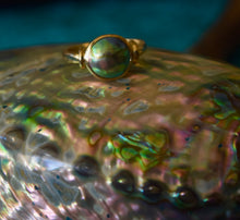 Load image into Gallery viewer, This New Zealand Eyris Blue Pearl ring is set in 9ct yellow gold and features a 10mm bezel set New Zealand paua mabe pearl, blue green in color.
Order to your size and choice of silver or gold
There is a range of unset Abalone pearls in stock that could be Made to Order - feel free to enquire about these as Sirene Sea Pearls is an agent for NZ Abalone Pearls in Australia