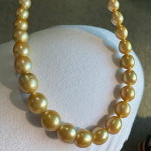 Load image into Gallery viewer, 'Weeroona' a deep gold South Sea Pearl Strand