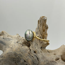 Load image into Gallery viewer, South Sea Cook Island 'keshi' pearl ring which features a stunning smooth shape seedless 'keshi' pearl , 7.2 x 9.2mm in size and smooth baroque in shape. This pearl is AAA grade and Peacock Greeb with Pink hues in color. It is set in 9ct Yellow Gold and is size 54 J3409