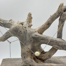 Load image into Gallery viewer, Australian South Sea Pearl necklace featuring a single Champagne South Sea pearl,
The pearl is Drop in shape 9.3 x 10.9mm in size, and Champagne to Light Gold in color.
It features on this adjustable 925 sterling silver chain with bolt ring clasp
Length in total is 43 to 50cm and adjustable toggle
J3521