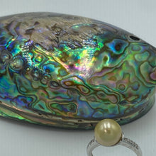 Load image into Gallery viewer, This adorable Golden Indonesian South Sea pearl ring is set in 925 sterling silver with cubic zirconia along the band and its rhodium coated for a white gold look and anti tarnish It features a natural gold pearl, Button shape and 10.1mm in size It has good lustre and very light 'birthmarks' J3207 Size Q (58) or 8.5