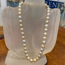 Load image into Gallery viewer, 'Weeroona' Australian South Sea Pearl Strand