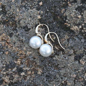 Australian South sea pearl earrings set on 9ct Yellow gold 'knife edge' hooks, articulated to the cap that joins the pearls  The pearls are Gem grade, 11.2mm, Round AAA pearls that are White with Pink hues in color  J3213
