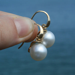 Australian South sea pearl earrings set on 9ct Yellow gold 'knife edge' hooks, articulated to the cap that joins the pearls  The pearls are Gem grade, 11.2mm, Round AAA pearls that are White with Pink hues in color  J3213