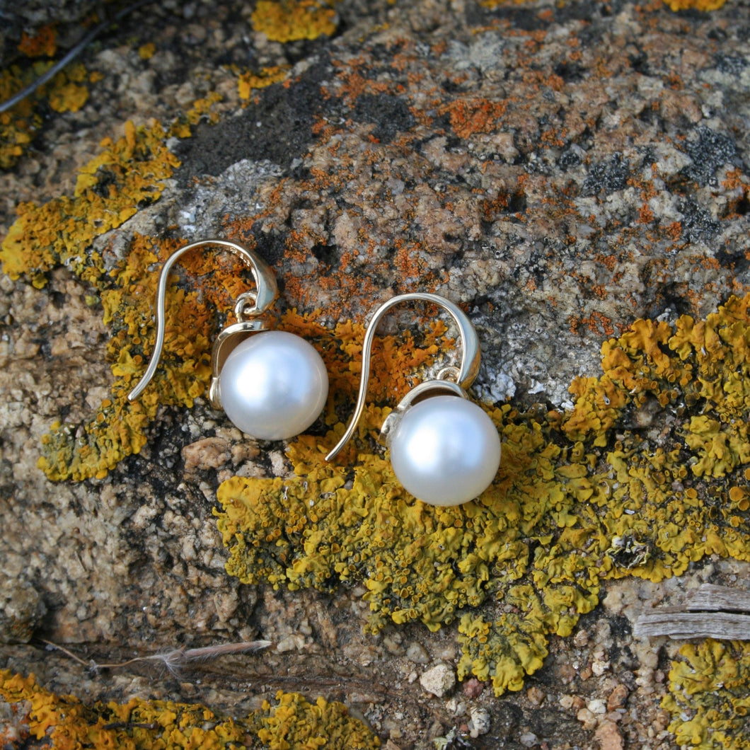 Australian South sea pearl earrings set on 9ct Yellow gold 'knife edge' hooks, articulated to the cap that joins the pearls  The pearls are Gem grade, 11.2mm, Round AAA pearls that are White with Pink hues in color  J3213