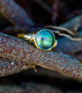 This New Zealand Eyris Blue Pearl ring is set in 9ct yellow gold and&nbsp;features a 10mm bezel set New Zealand paua mabe pearl, blue green in color.&nbsp;

Order to your size and choice of silver or gold

There is a range of unset Abalone pearls in stock that could be Made to Order - feel free to enquire about these as Sirene Sea Pearls is an agent for NZ Abalone Pearls in Australia