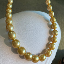 Load image into Gallery viewer, &#39;Weeroona&#39; a deep gold South Sea Pearl Strand
