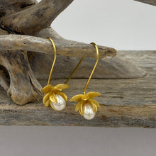 Load image into Gallery viewer, Satin finish 18k gold plated over 925 sterling silver hook style earrings  Featuring small White Drop shape pearls, 5 x 8mm in size, encapsulated in the orchid flower  Overall earring length of 30mm
