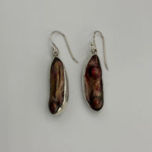 Load image into Gallery viewer, These stunning Biwa pearl earrings feature Chocolate color Biwa pearls set on&nbsp; 925 sterling silver hooks.

The pearls measure 28mm x 9mm.
