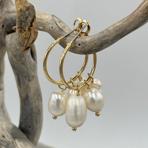 These fashion jewellery earrings feature an elegant hoop design adorned with multiple lustrous freshwater pearl drops, creating a graceful and eye-catching effect.&nbsp;

Pearls measure approx. 8mm and 6mm.

Total length from top to bottom is 35mm.