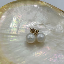 Load image into Gallery viewer, Australian South sea pearl studs set in 18ct yellow gold with butterflies also in 18ct These earrings feature 10.2mm, Round pearls, AAA grade with Excellent lustre&nbsp;  White Pink in color  J3250
