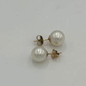 Australian South sea pearl studs set in 18ct yellow gold with butterflies also in 18ct These earrings feature 10.2mm, Round pearls, AAA grade with Excellent lustre&nbsp;  White Pink in color  J3250