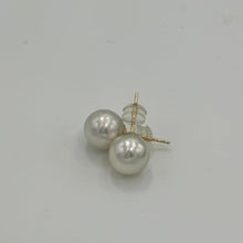 Load image into Gallery viewer, Australian South sea pearl studs set in 9ct yellow gold with butterflies also in 9ct These earrings feature 9.1mm, Round pearls, AA grade with Excellent lustre&nbsp;  White with silver Pink hues in color  JSPAustralian South sea pearl studs set in 9ct yellow gold with butterflies also in 9ct These earrings feature 9.9mm, Round pearls, AAA grade with Excellent lustre&nbsp;  White with silver hues in color  J3181
