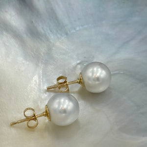 Australian South sea pearl studs set in 9ct yellow gold with butterflies also in 9ct These earrings feature 9.9mm, Round pearls, AAA grade with Excellent lustre&nbsp;  White with silver hues in color  J3181