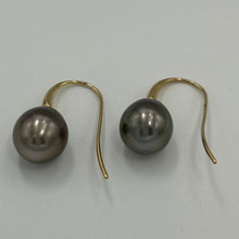 Load image into Gallery viewer, 9ct Yellow Gold French hook earrings featuring a pair of Drop shaped Pearls,&nbsp; rich Aubergine in colour.  These Pearls are 11.3 x 12.8mm in size  J3339
