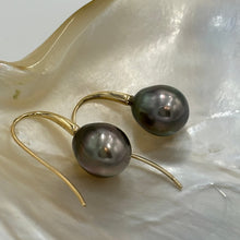 Load image into Gallery viewer, 9ct Yellow Gold French hook earrings featuring a pair of Drop shaped Pearls,&nbsp; rich Aubergine in colour.  These Pearls are 11.3 x 12.8mm in size  J3339
