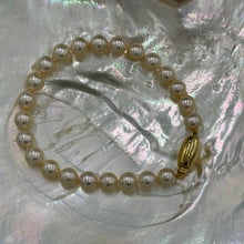 Load image into Gallery viewer, A Timeless and Classic bracelet featuring stunning Akoya Sea pearls.  This bracelet features twenty three round pearls, 7mm- 7.5mm, AAA grade, high lustre pearls of subtle Champagne color.  The clasp is a barrel shape polished 18ct yellow gold clasp.
