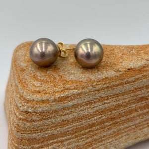 Exquisite natural Chcocolate Pink Edison pearls set in 9ct yellow&nbsp; gold stud settings including butterflies.

These earrings feature a pair of exquisite 11mm Round highest quality pearls with excellent lustre and flawless skin.&nbsp;