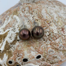Load image into Gallery viewer, Exquisite chocolate Edison pearls set in 925 sterling silver&nbsp; stud settings.

These earrings feature a pair of exquisite 9-5mm Round high quality high lustre pearls.&nbsp;
