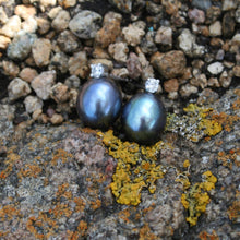 Load image into Gallery viewer, Stud style earrings featuring &#39;clawset&#39; cubic zirconia and Oval shape Black Freshwater pearls, 9 x 10.5mm in size and a rich Peacock Green with Blue hues in color
