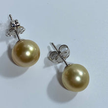 Load image into Gallery viewer, &#39;Weeroona&#39; Golden South Sea pearl studs

