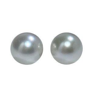 'Weeroona' Australian South Sea pearl studs