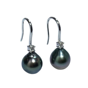 'Taha' Tahitian South sea pearl earrings