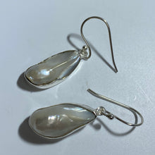 Load image into Gallery viewer, &#39;Kim&#39; Hook Style Freshwater Pearl Earrings
