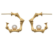 Load image into Gallery viewer, 18K gold plated over 925 sterling silver stud style earrings  Satin finish earrings featuring Bamboo look and white Freshwater pearls Round in shape 5.5-6mm  Overall earring length of 25mm.  Also available in silver
