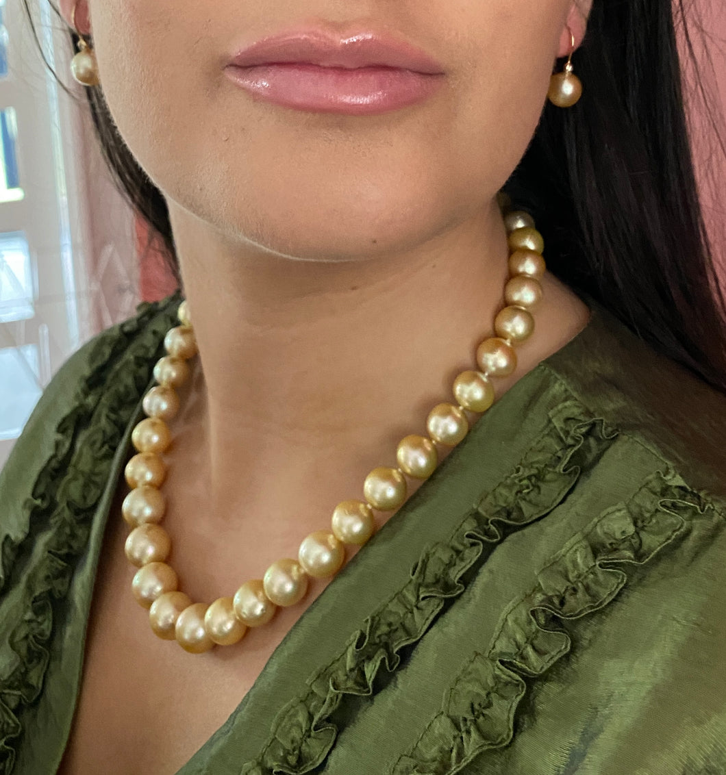 'Weeroona' Golden South Sea Pearl  Strand