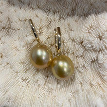 Load image into Gallery viewer, &#39;Goldie&#39; Golden Huggie South Sea Pearl Earrings
