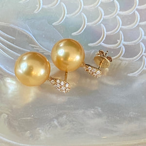 'Sierra' Golden South Sea Pearl and diamond Earrings