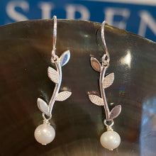 Load image into Gallery viewer, &#39;Colleen&#39; Hook Style Freshwater Pearl Earrings
