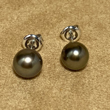 Load image into Gallery viewer, Tahitian South Sea Pearl Stud Earrings
