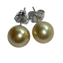 Load image into Gallery viewer, Indonesian South sea pearl studs 925 Sterling silver settings that  feature 8.9mm, Round pearls  Natural Deep Gold in color and AAA grade lustre and skin
